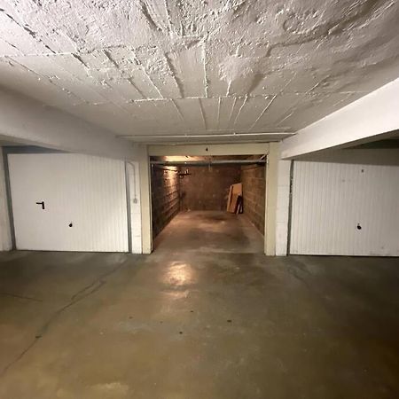 T3 De 73 M2 , Garage , Vue Montagnes Et Chateau Άννεσι Εξωτερικό φωτογραφία