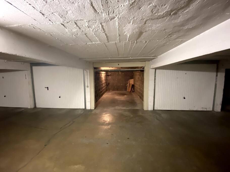 T3 De 73 M2 , Garage , Vue Montagnes Et Chateau Άννεσι Εξωτερικό φωτογραφία